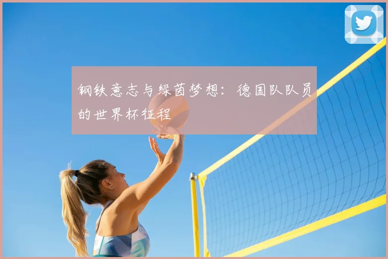 钢铁意志与绿茵梦想：德国队队员的世界杯征程