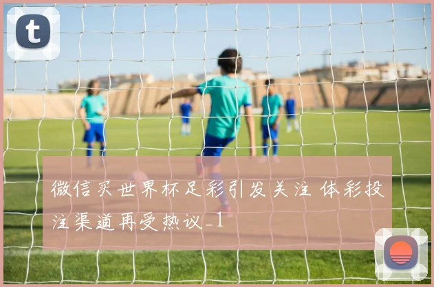 微信买世界杯足彩引发关注 体彩投注渠道再受热议_1