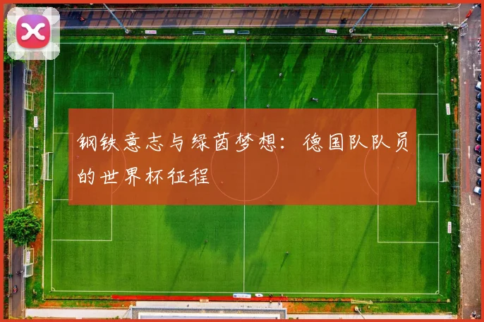 钢铁意志与绿茵梦想：德国队队员的世界杯征程