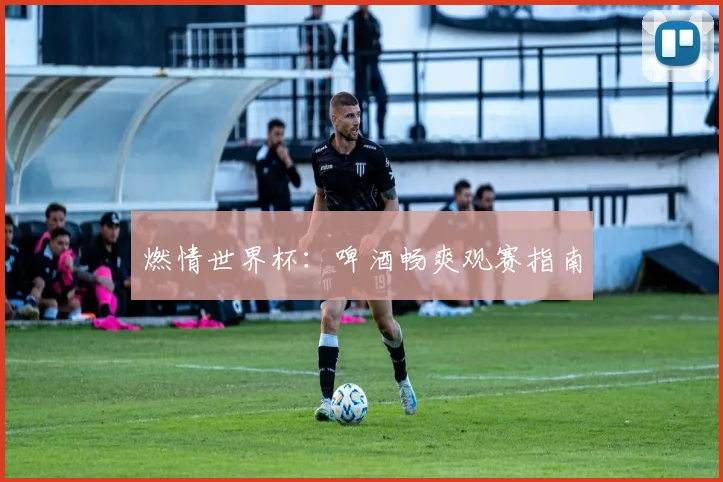 燃情世界杯：啤酒畅爽观赛指南