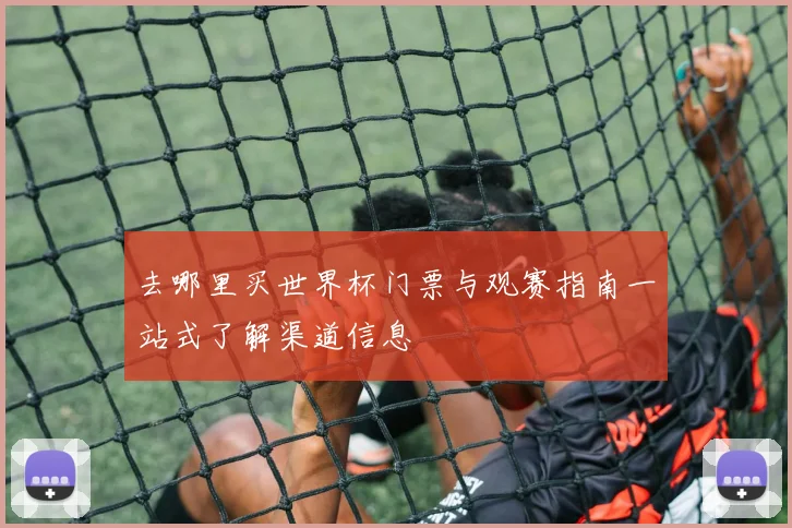 去哪里买世界杯门票与观赛指南一站式了解渠道信息