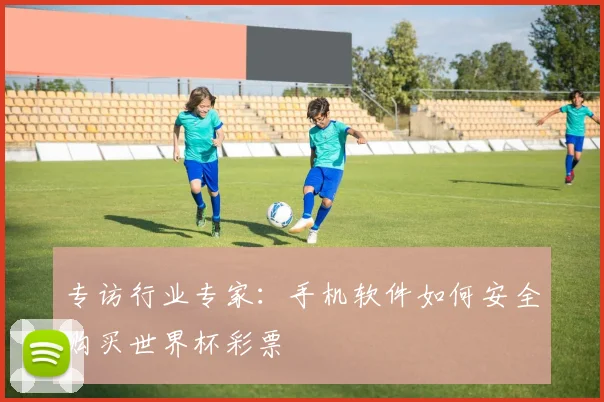 专访行业专家：手机软件如何安全购买世界杯彩票