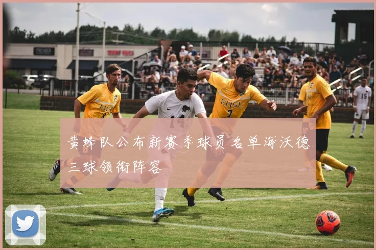 黄蜂队公布新赛季球员名单海沃德三球领衔阵容