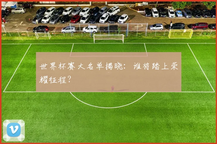 世界杯赛大名单揭晓：谁将踏上荣耀征程？