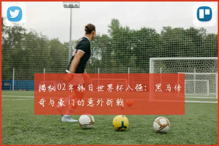 揭秘02年韩日世界杯八强:黑马传奇与豪门的意外折戟