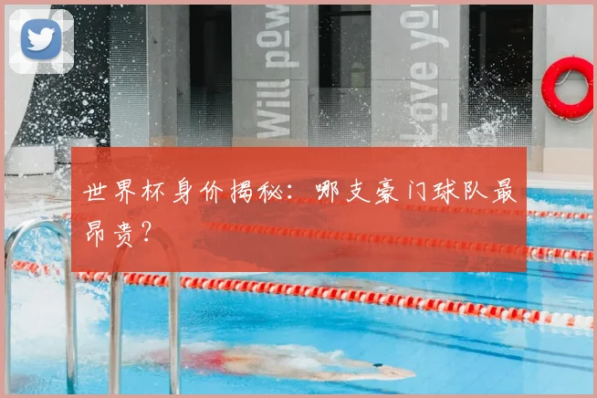 世界杯身价揭秘：哪支豪门球队最昂贵？