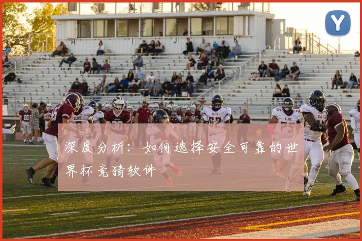 深度分析：如何选择安全可靠的世界杯竞猜软件