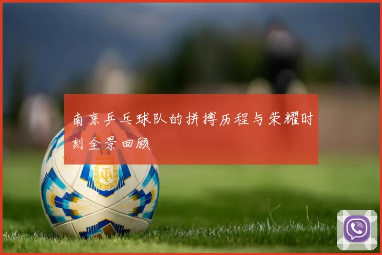 南京乒乓球队的拼搏历程与荣耀时刻全景回顾