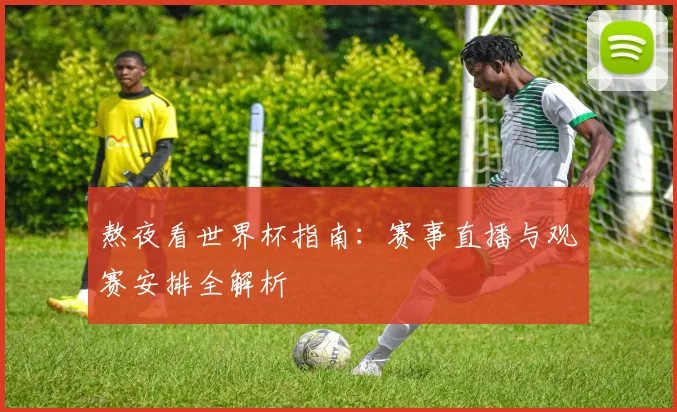 熬夜看世界杯指南：赛事直播与观赛安排全解析