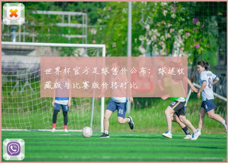 世界杯官方足球售价公布:球迷收藏版与比赛版价格对比