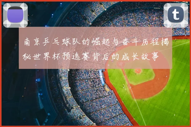 南京乒乓球队的崛起与奋斗历程揭秘世界杯预选赛背后的成长故事