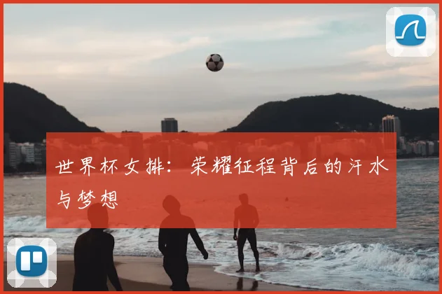 世界杯女排：荣耀征程背后的汗水与梦想