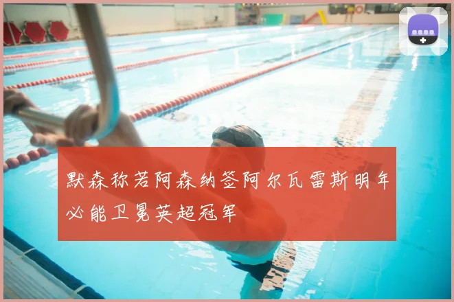 默森称若阿森纳签阿尔瓦雷斯明年必能卫冕英超冠军