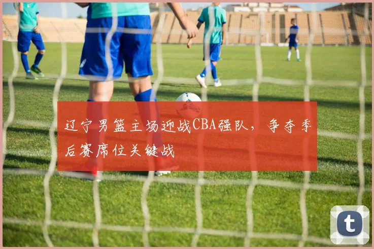 辽宁男篮主场迎战CBA强队，争夺季后赛席位关键战