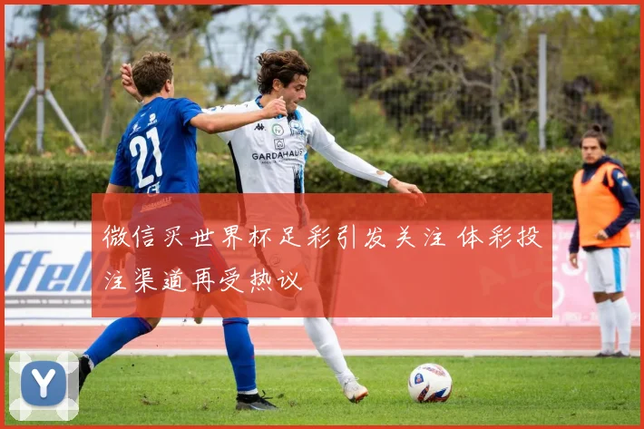 微信买世界杯足彩引发关注 体彩投注渠道再受热议