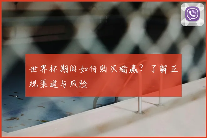 世界杯期间如何购买输赢？了解正规渠道与风险