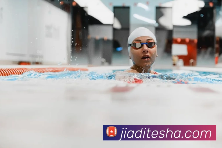 星空体育发展历程